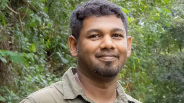 உயிரொளிர் காளான் 