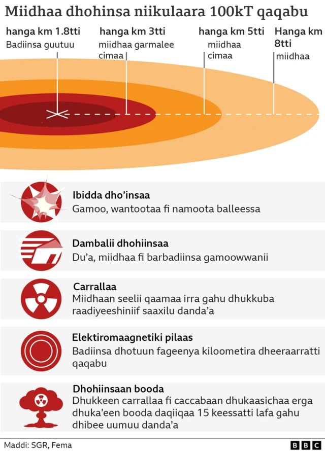 Miidhaa nikulaarri qaqabsiisuu danda'u