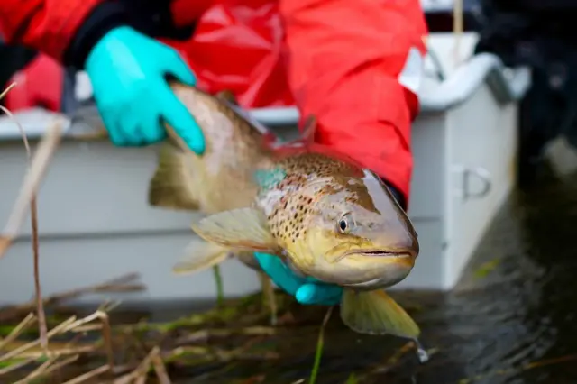 ડૅમ યુરોપ પાણી બીબીસી ગુજરાતી 