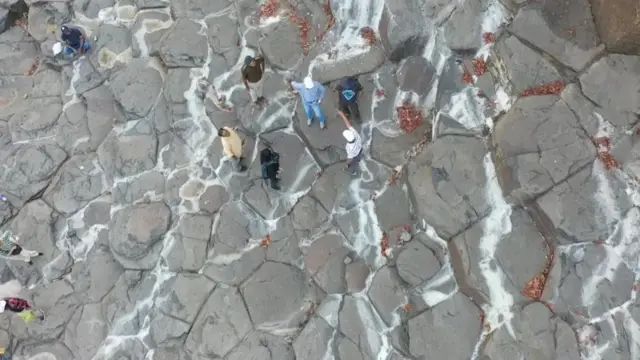 ڈائنوسار کے باقیات