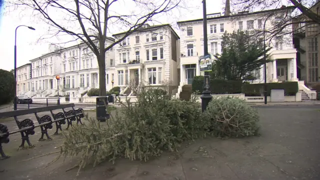 Varios árboles de Navidad abandonados yacen en la acera, junto a bancos de un parque y una farola, con una hilera de casas adosadas blancas y árboles sin hojas al fondo.