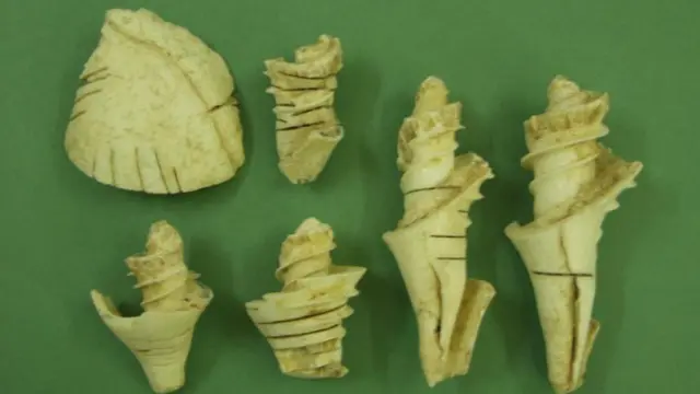 દ્વારકા, કૃષ્ણ, બેટ-દ્વારકા, જગત મંદિર, પુરાતત્વ વિભાગ, પુરાવા, બંદર, મધ્ય પૂર્વ, આફ્રિકા, વ્યાપાર, હડપ્પા સંસ્કૃતિ, ડાકોર, કૃષ્ણજન્માષ્ટમી