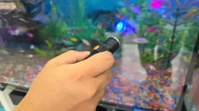Homem segura lanterna em direção a um peixe no aquário, que brilha