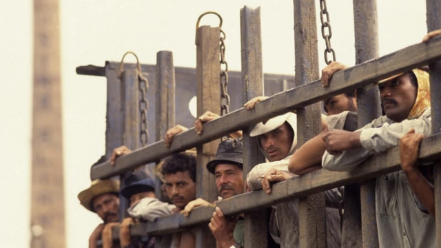 B﻿rezilya'nın kuzeydoğusundaki Bahia'da şekerkamışı toplayıcıları dünyanın en zorlu koşullarından birinde çalışıyor