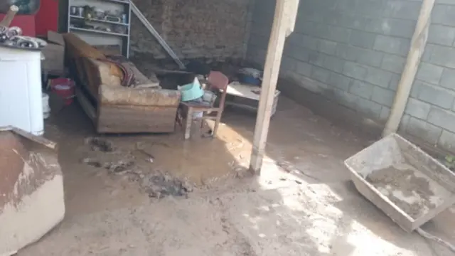 Мамаевдердин короо-жайы