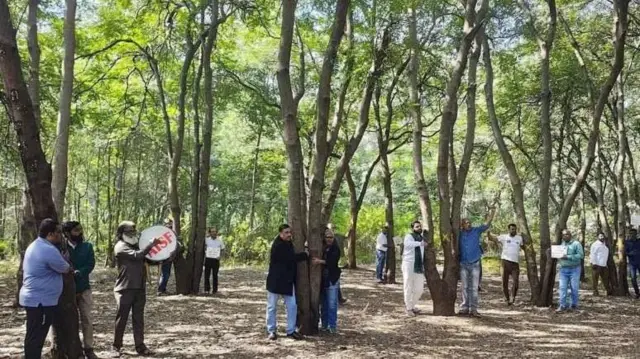 तपोवन परिसरातील झाडं कापली जाऊ नयेत, यासाठी हे पर्यावरणप्रेमी आंदोलन करत आहेत.
