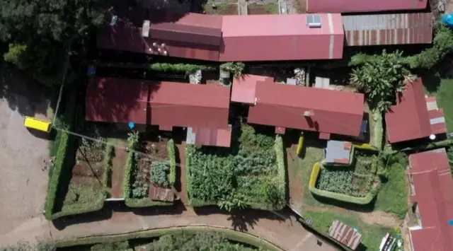 Xarumaha xannaanada waayeellada