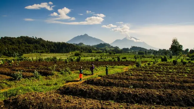 Área ruralaposta esportiva amanhãRuanda