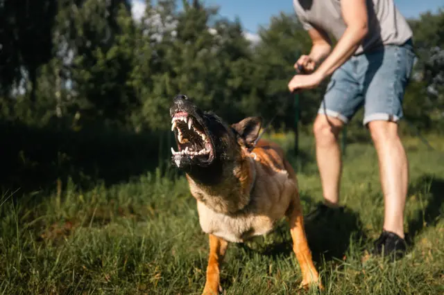 பாகிஸ்தான், இந்தியா, தமிழ்நாடு, செய்திகள்