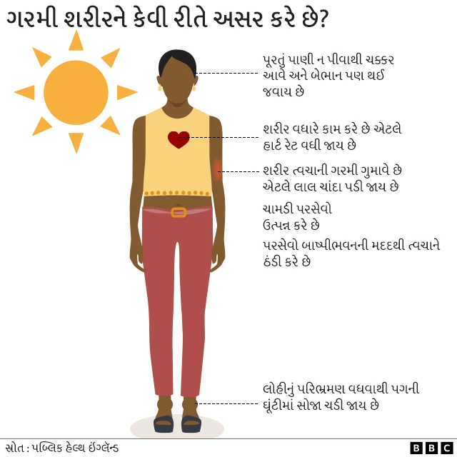 ગરમી, શરીર, બીબીસી, ગુજરાતી