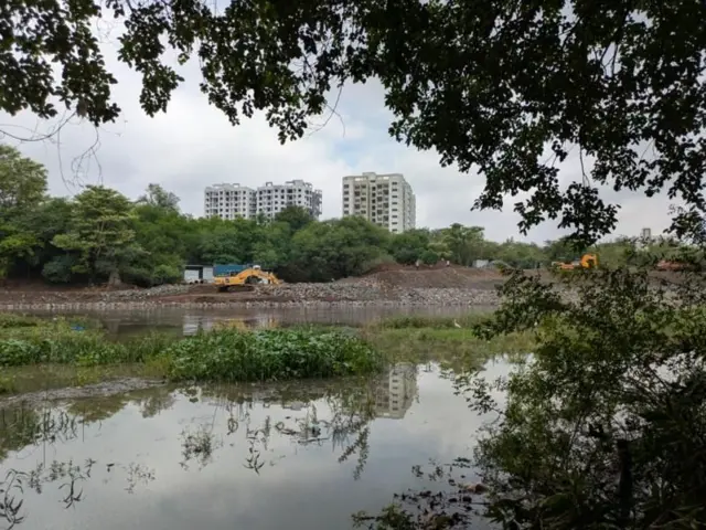 प्रातिनिधिक फोटो