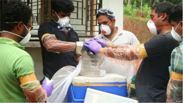 ਨਿਪਾਹ ਵਾਇਰਸ 