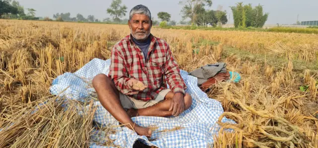 धान उत्पादन