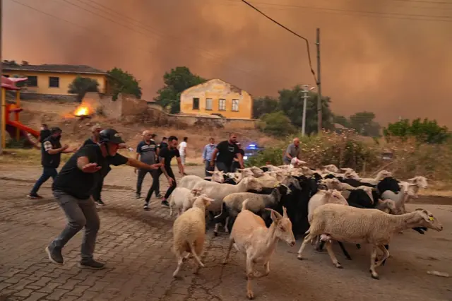 Ödemiş'teki bir köyde yetkililer, yaklaşan alevlere karşı köyü tahliye ederken küçük baş hayvanları da çıkartıyor. 