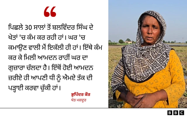 ਬਲਵਿੰਦਰ ਸਿੰਘ ਦੇ ਖੇਤਾਂ ਵਿੱਚ ਕੰਮ ਕਰਦੀ ਮਹਿਲਾ ਦੀ ਟਿੱਪਣੀ