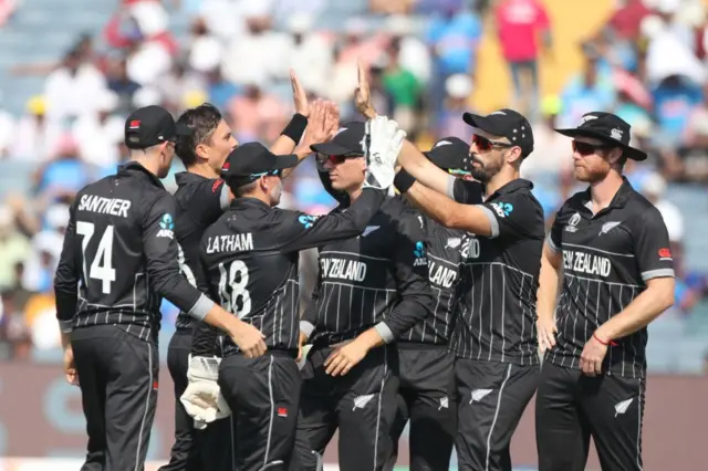 কিউয়িদের উদযাপন