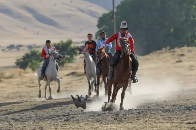 Т﻿үркиядагы Ванн кыргыздары да даярдык көрүүдө