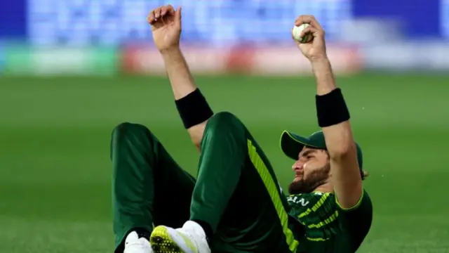 શાહીન શાહ આફ્રિદી