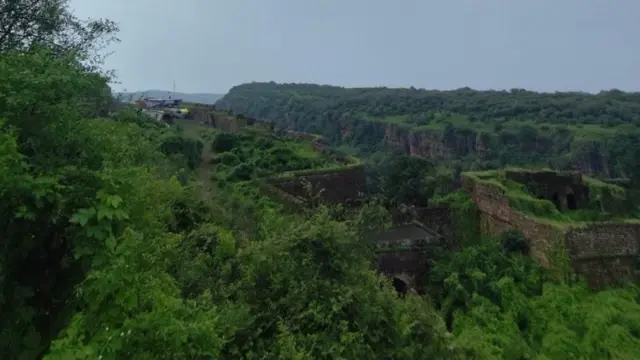 सरकारी गणनेनुसार मध्यप्रदेशात 526, कर्नाटकात 524, उत्तराखंडमध्ये 442 आणि महाराष्ट्रात 312 वाघ आहेत.