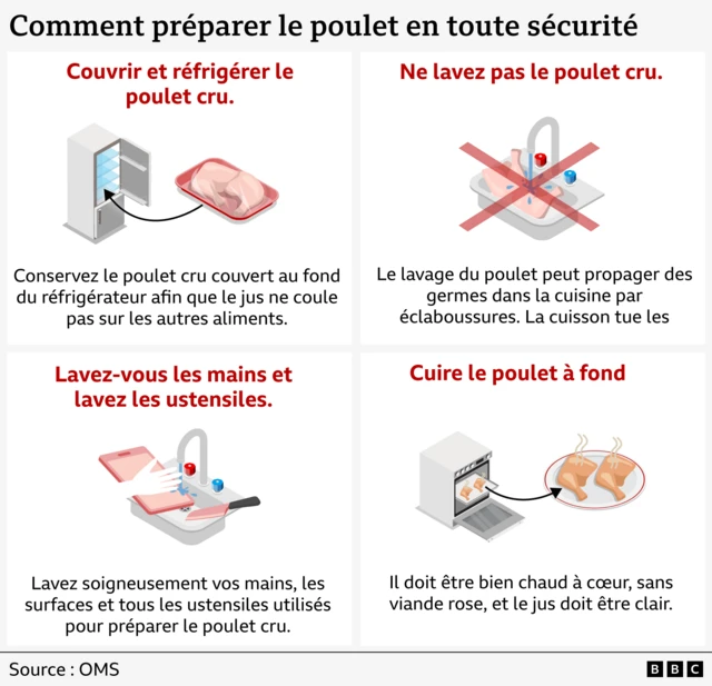 Les graphiques présentent les recommandations de l'Organisation mondiale de la santé sur la manière de préparer le poulet. Le premier graphique montre une image d'un réfrigérateur et une flèche pointant vers l'étagère du bas où vous devez conserver le poulet afin d'éviter que le jus ne coule sur d'autres aliments. La deuxième image montre du poulet cru dans un évier avec un robinet ouvert. Une grande lettre X est inscrite sur l'image pour indiquer qu'il ne faut pas laver le poulet cru. La troisième image montre une main en train de laver une planche à découper et un couteau dans un évier, afin d'illustrer la nécessité de se laver les mains et de laver les ustensiles après avoir préparé du poulet cru. La quatrième image montre un four et une flèche pointant vers le four, avec du poulet cuisant à la vapeur sur un plateau, accompagnée du conseil de bien cuire le poulet, seul moyen de tuer les bactéries.