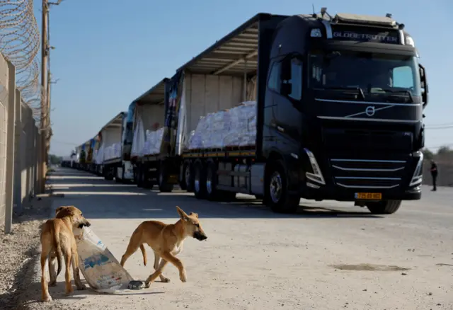 Dos perros delante de varios camiones de ayuda humanitaria.