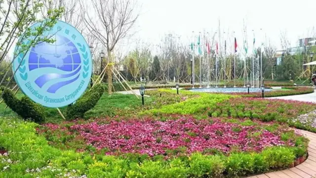 शांघाय को-ऑपरेशन ऑर्गनायझेशन