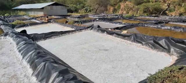 Kuufamni ashaboo aanaalee Godina Baalee Bahaa keessa akka jiru mirkanaa'e