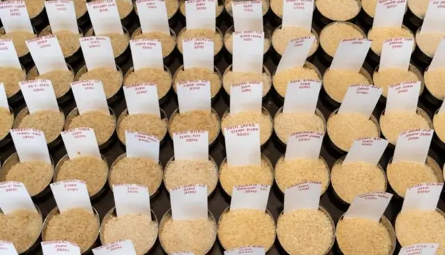 भारत आणि अमेरिका यांच्यातील द्विपक्षीय कृषी व्यापार 800 कोटी रुपयांचा आहे.
