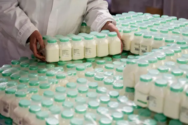 Сүттү кайра иштетүү