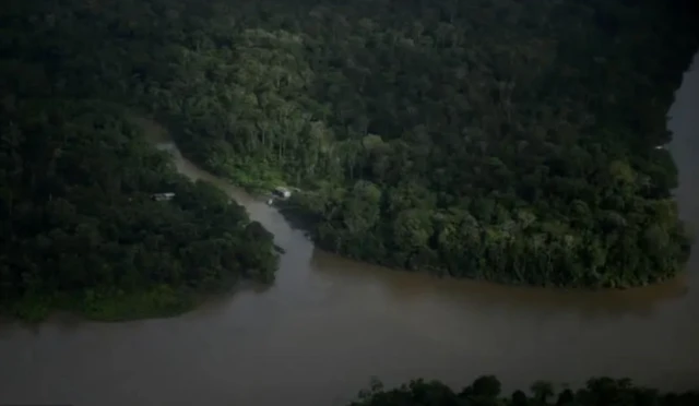 Foz de rio amazônico desaguando em região repleta de florestas