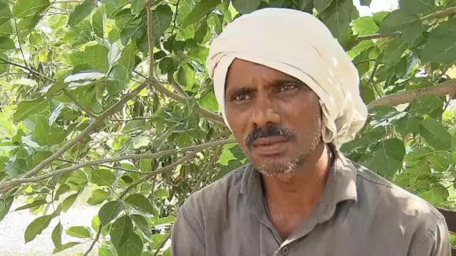 ਮਾਰੂਤੀ ਜਾਟਾਲਕਰ