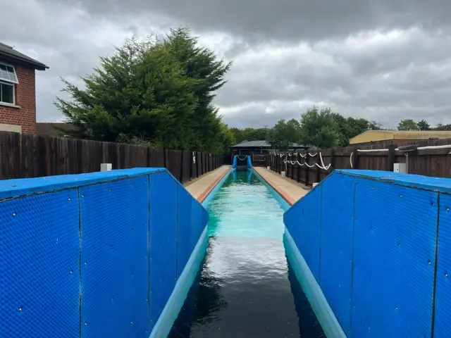 Англия. Нью Маркет шаарчасы. Күлүктөр сүзө турган көлмө