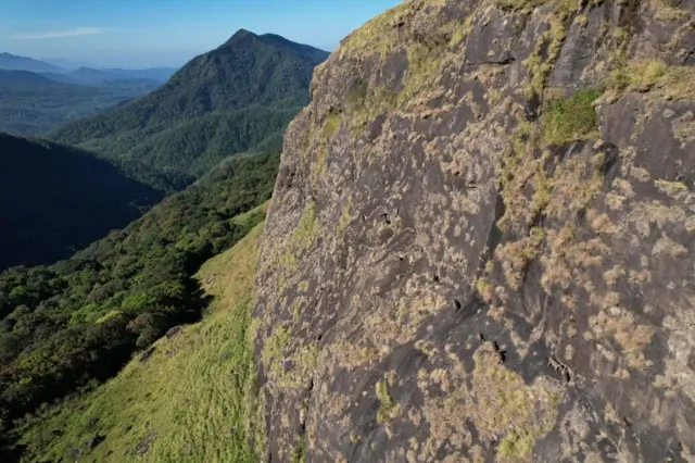 நீலகிரி வரையாடுகள், வரையாடு சிறப்புத் திட்டம்