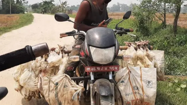 पर्सा से होकर चिकन की तस्करी आम है.