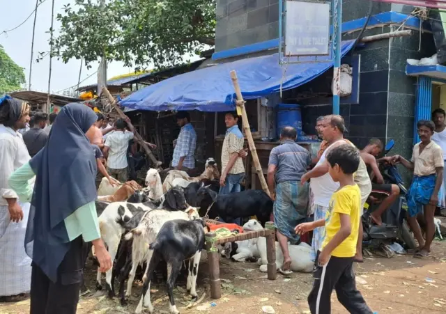 নারকেল ডাঙার ‘বকরি মার্কেটের’ ছবি