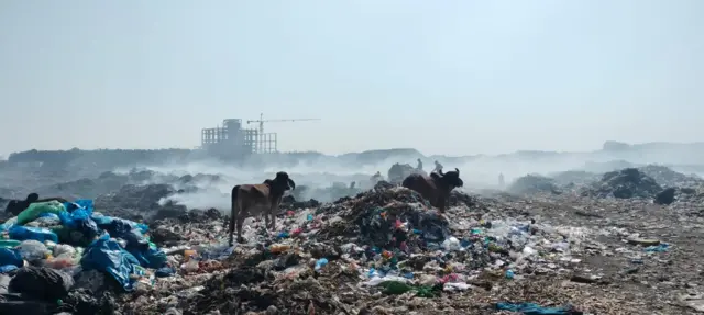 ગુજરાત રાજકોટ મહાનગરપાલિકા કચરો પાવર પ્લાન્ટ નૅશનલ ગ્રીન ટ્રિબ્યૂનલ દંડ