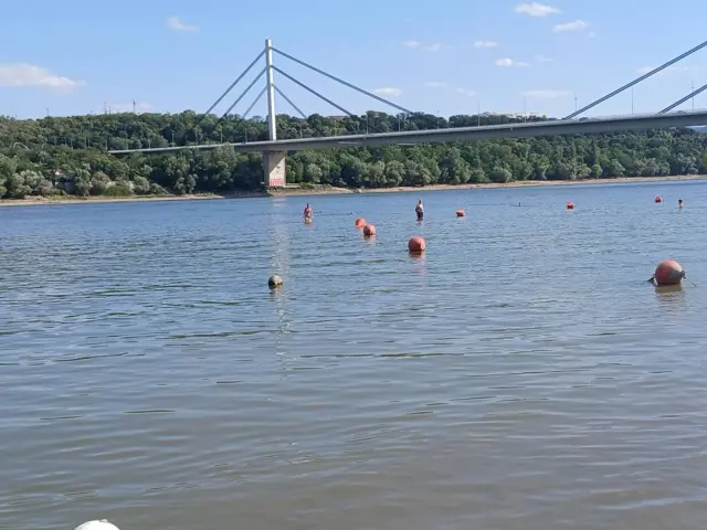 dunav, nizak vodostaj dunava, dunav kod novog sada