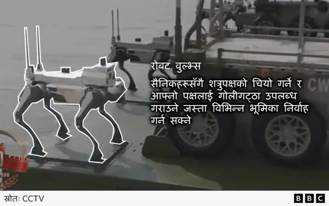 सैन्य परेडमा देखाइएको एउटा रोबटिक ब्वाँसो