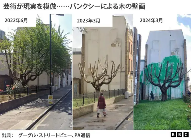 2年前の桜の木と現在の姿、バンクシーの絵