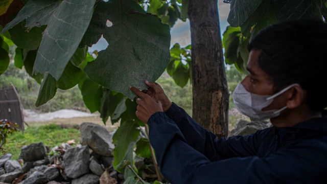 Tambang bebatuan, IKN, Buluri 