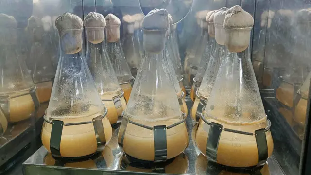 ఫ్లెదర్