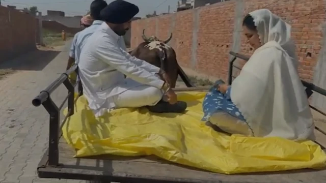 ਅਮਰਿੰਦਰ ਸਿੰਘ ਰਾਜਾ ਵੜਿੰਗ