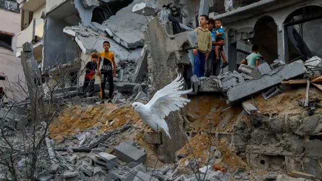 صورة لحمامة بيضاء تحلق فوق ركام مبانٍ في خان يونس جنوبي قطاع غزة.
