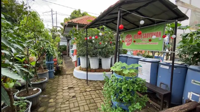 Buruan SAE KWT Kebun Sauyunan