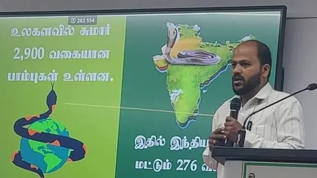 સાપ, કોબ્રા, ગ્લાસ વાઇપર, તમિલનાડુ, ઉનાળો, બીબીસી ગુજરાતી