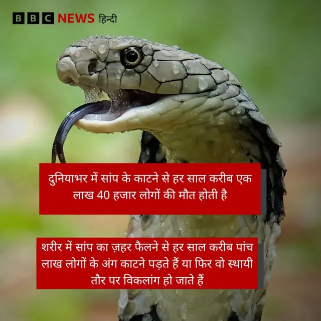 बीबीसी