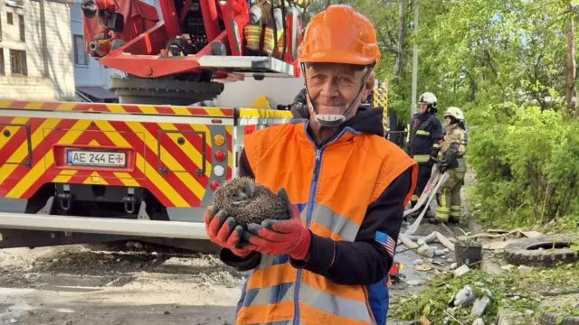 Врятований їжак після удару по Дніпру у ніч проти 23 квітня 2026 року