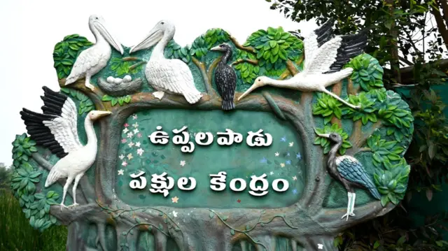 ఉప్పలపాడు