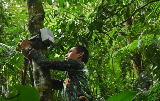 Rahayu Oktaviani, owa jawa