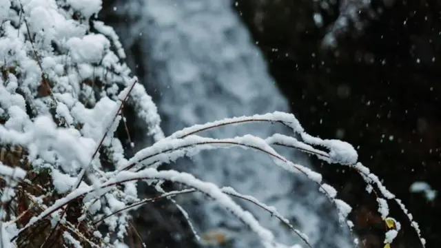 நான் இங்கு வந்து மகிழ்ச்சியாக விளையாடுகிறேன். பனியில் படுத்திருக்கிறேன், இது எவ்வளவு அழகாக இருக்கிறது. இவ்வளவு மகிழ்ச்சியை எங்கே உங்களால் அனுபவிக்க முடியும் ? வாருங்கள், எல்லோரும் வாருங்கள்! நாம் மறுபடியும் இங்கே வரலாம்” என்று கூறுகிறார்.